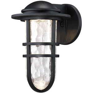 Steampunk 1 Light 9.38 inch Outdoor Wall Light
