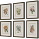 Orchid 24.5 X 20.5 inch Botanical Framed Prints, Set of 6