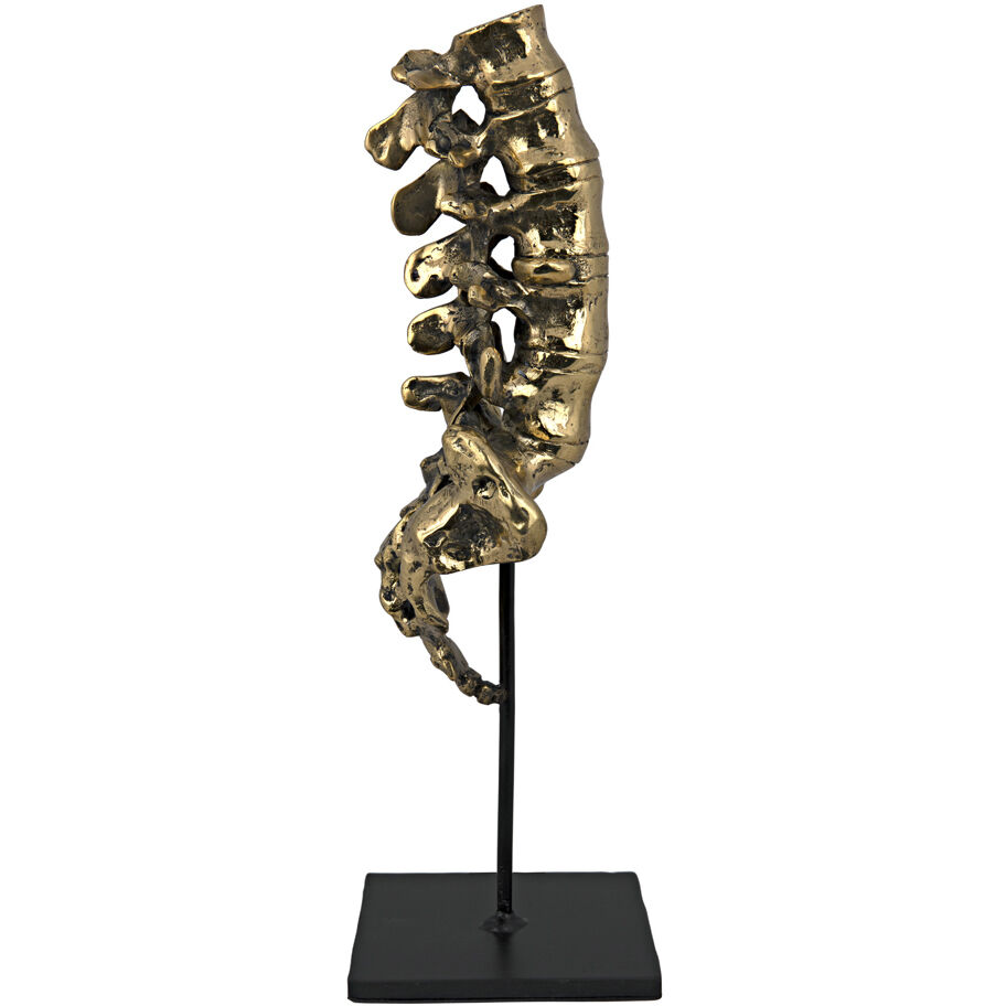 Vertebrae Brass Decor Accessory