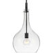Ziggy 1 Light 12 inch Black Indoor Pendant Ceiling Light in Clear