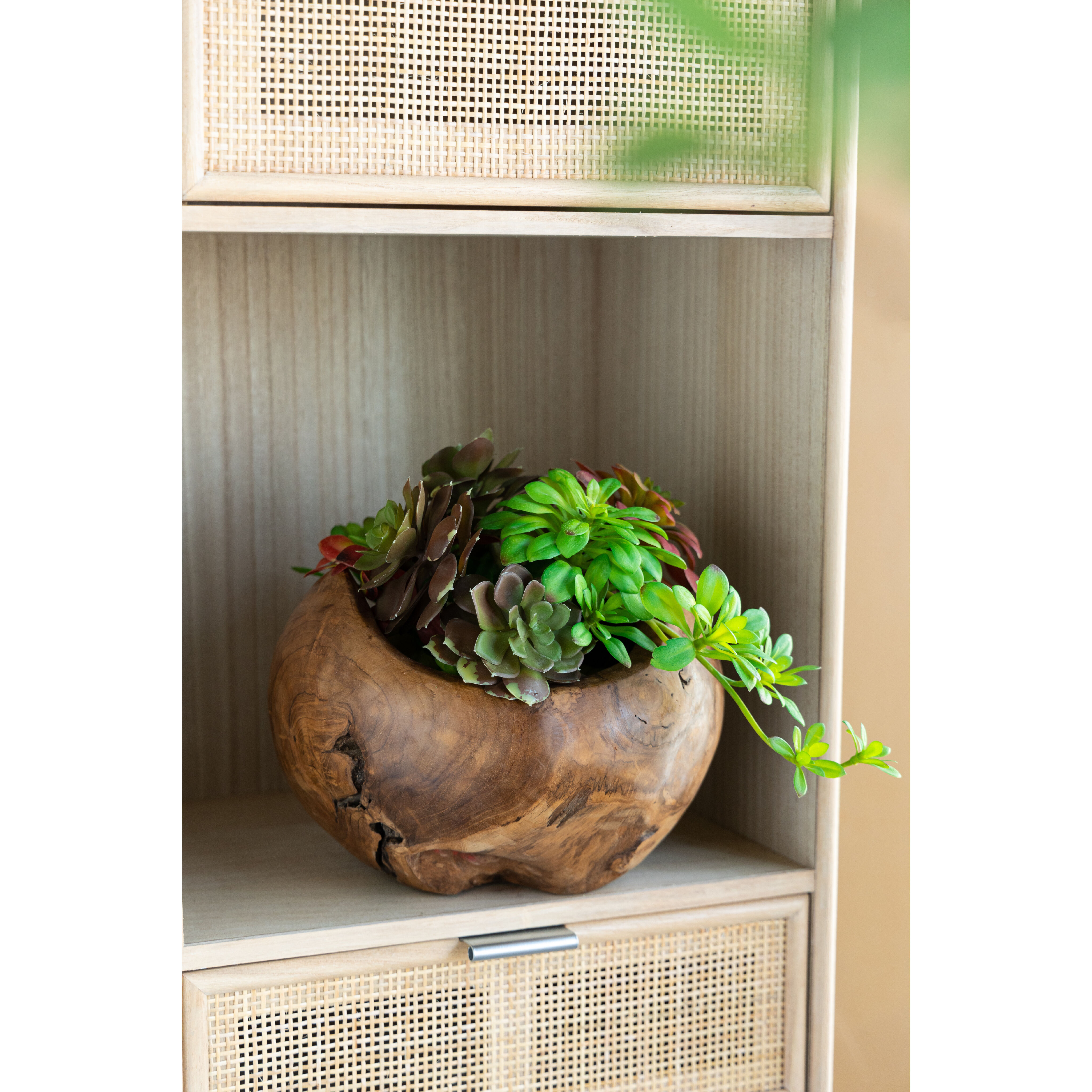 Anita 11.8 X 10.6 inch Bowl