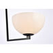 Jeanne 2 Light 13 inch Black Flush Mount Ceiling Light