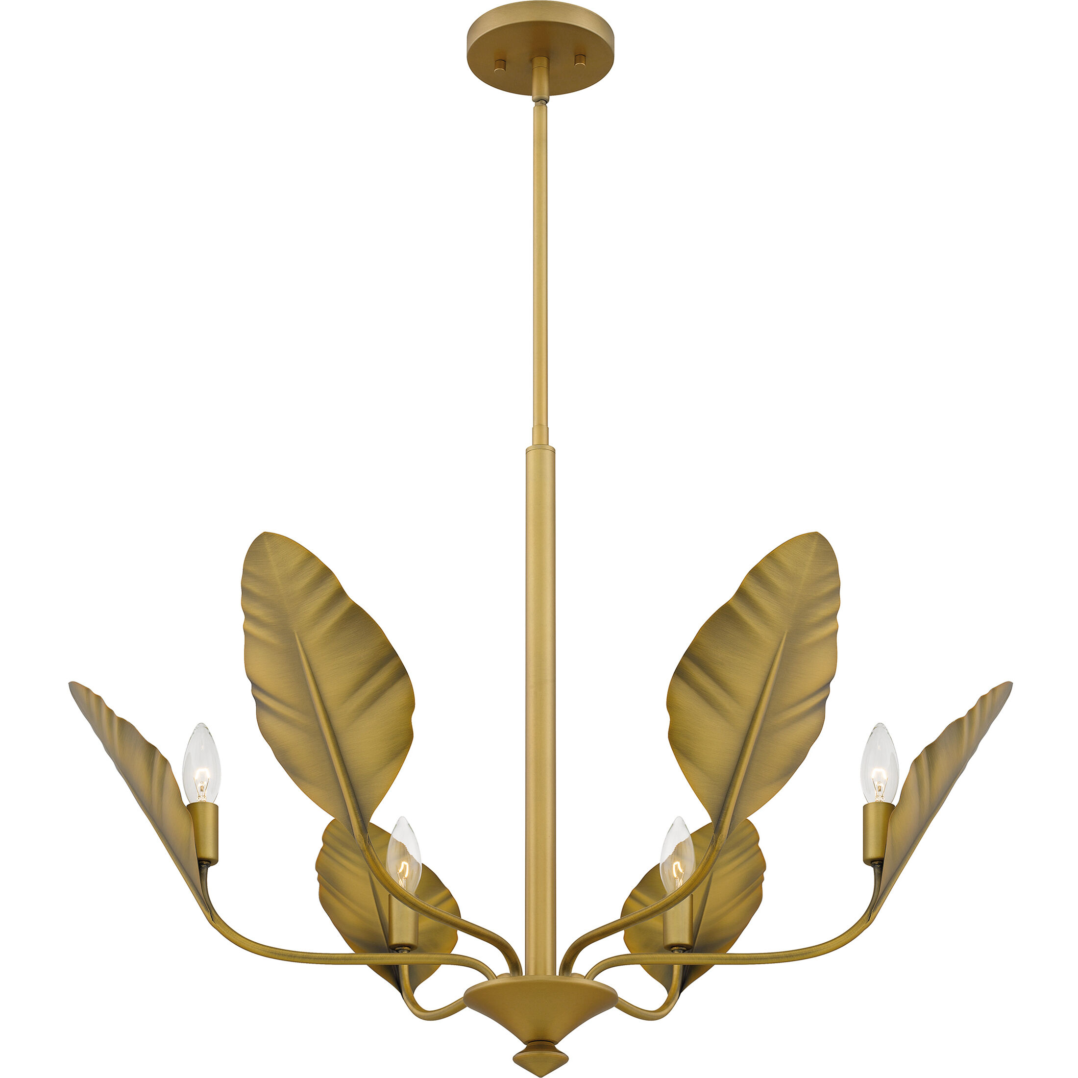 Bayley 6 Light 28 inch Aged Brass Chandelier Ceiling Light