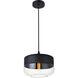 Ashwell 1 Light 10 inch Black Pendant Ceiling Light