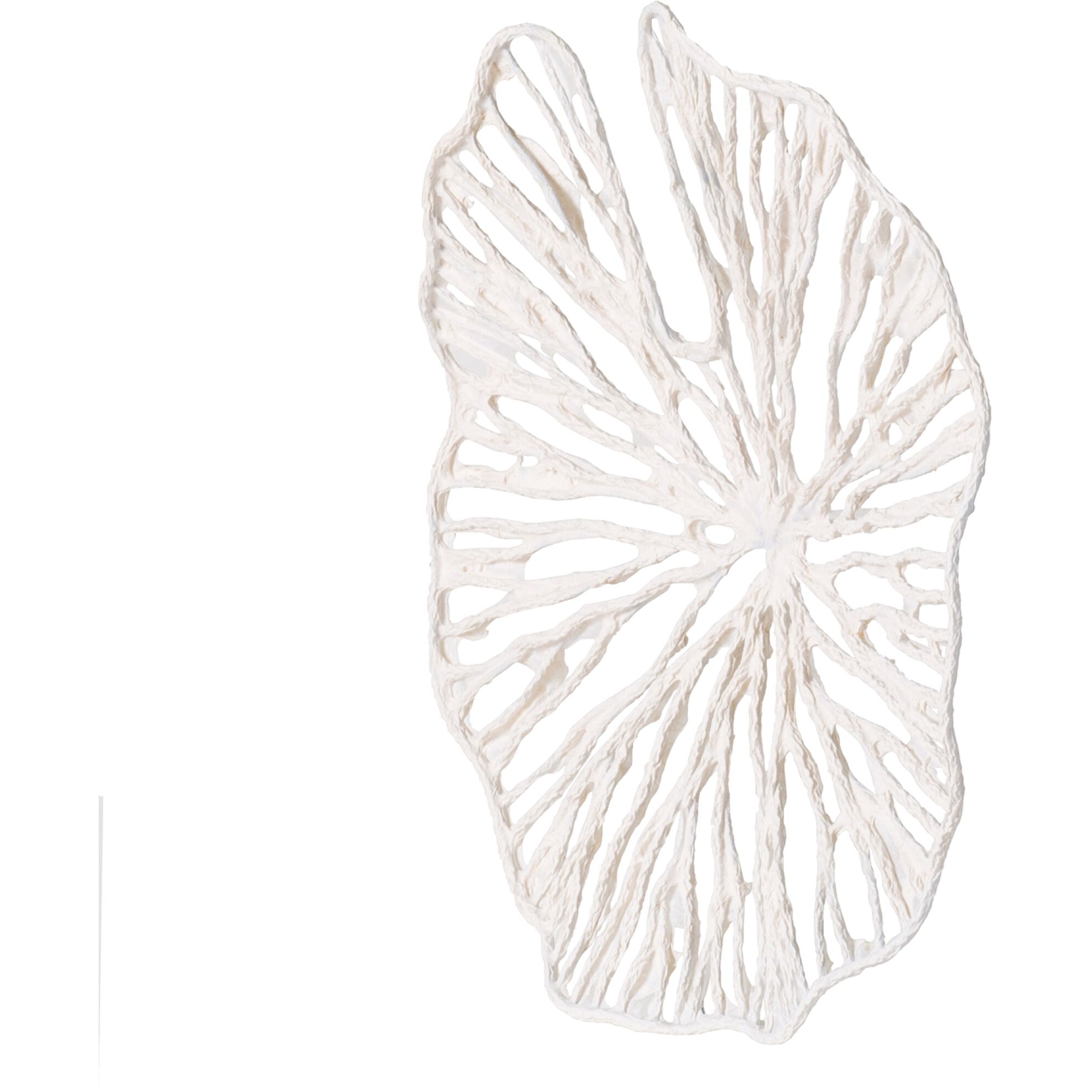 Leaf Patterned White Wall DTcor, Botanical