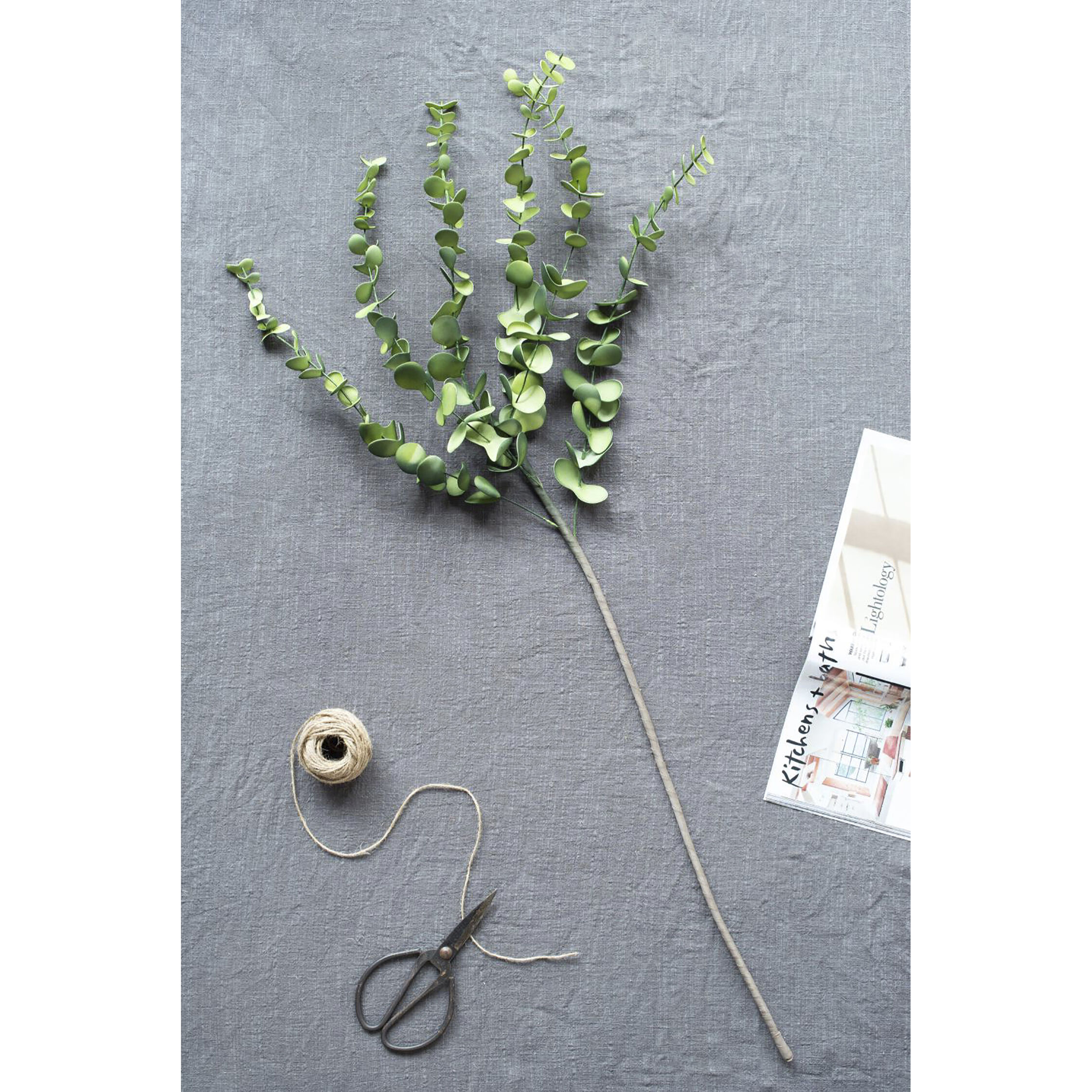 Eucalyptus Stem Green Botanical