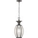 River Place 1 Light 9.25 inch Antique Bronze Outdoor Hanging Lantern