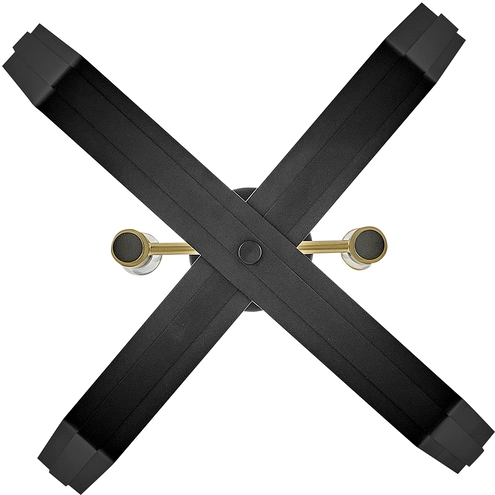 Sammi 2 Light 20 inch Black with Lacquered Brass Pendant Ceiling Light