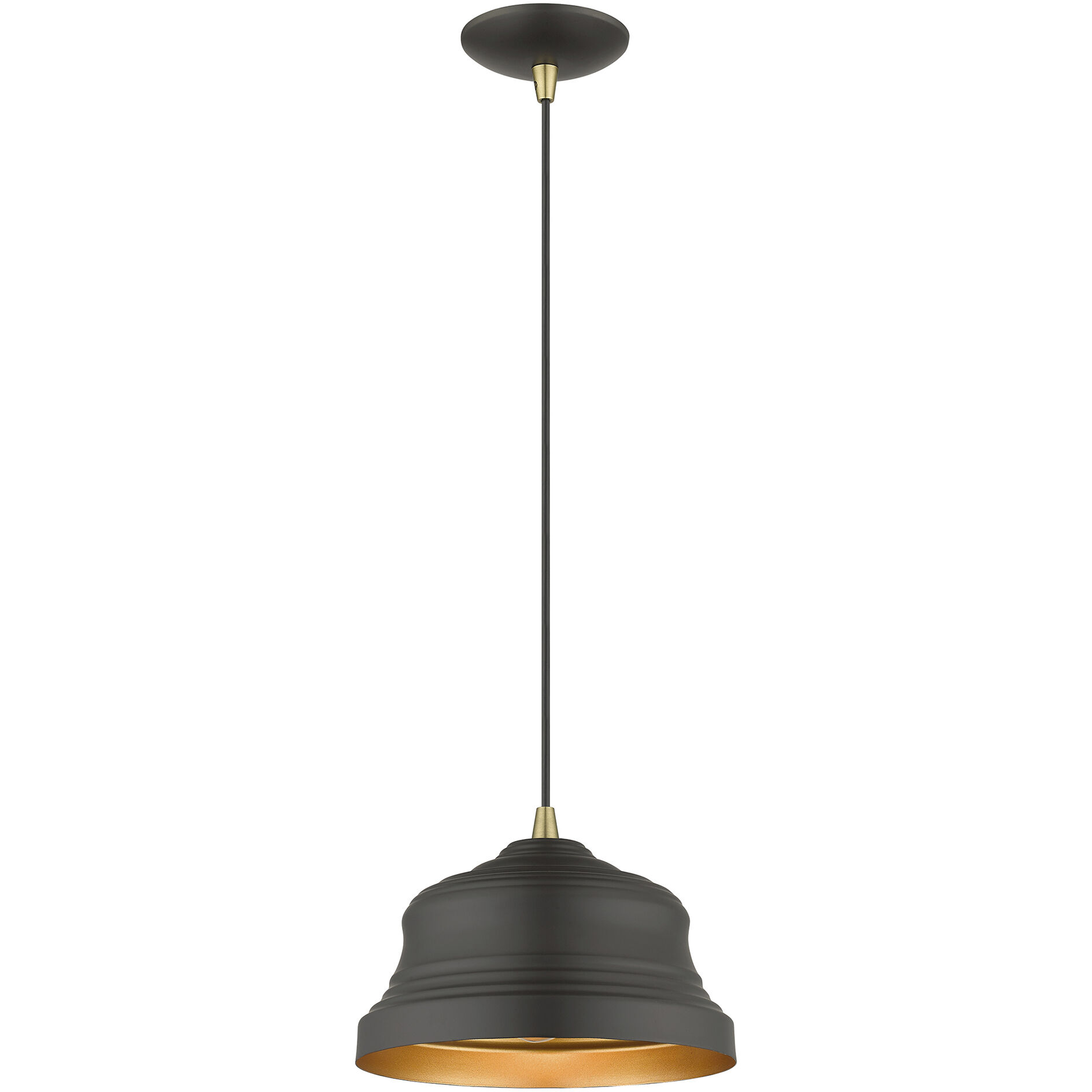 Endicott 1 Light 10 inch Bronze with Antique Brass Finish Accents Pendant Ceiling Light in Bronze with Antique Brass Accent