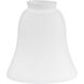 myFanimation Opal Frosted Shiny Fan Light Kit