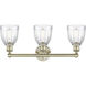 Brookfield 3 Light 23.75 inch Antique Brass Bath Vanity Light Wall Light in Clear