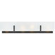 Roman 4 Light 25 inch Black Vanity Light Wall Light