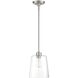 Industrial 1 Light 9.5 inch Brushed Nickel Pendant Ceiling Light