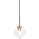 Novo 1 Light 7.88 inch Aged Gold Brass Chandelier Ceiling Light in Aged Gold Brass and Clear