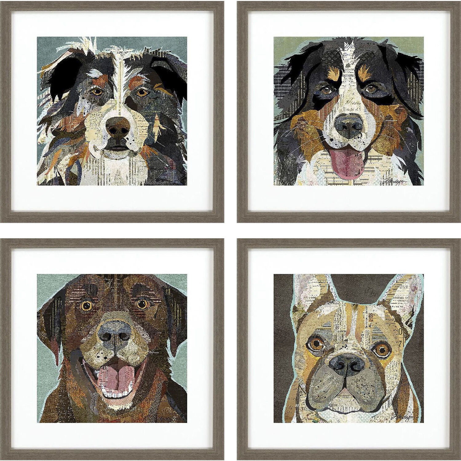 Dog Collage Brown and Multi and Rust and Teal Framed Art