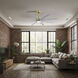 Atlas Ariella - LK 64 inch Brushed Brass with Barn Wood Tone Blades Ceiling Fan
