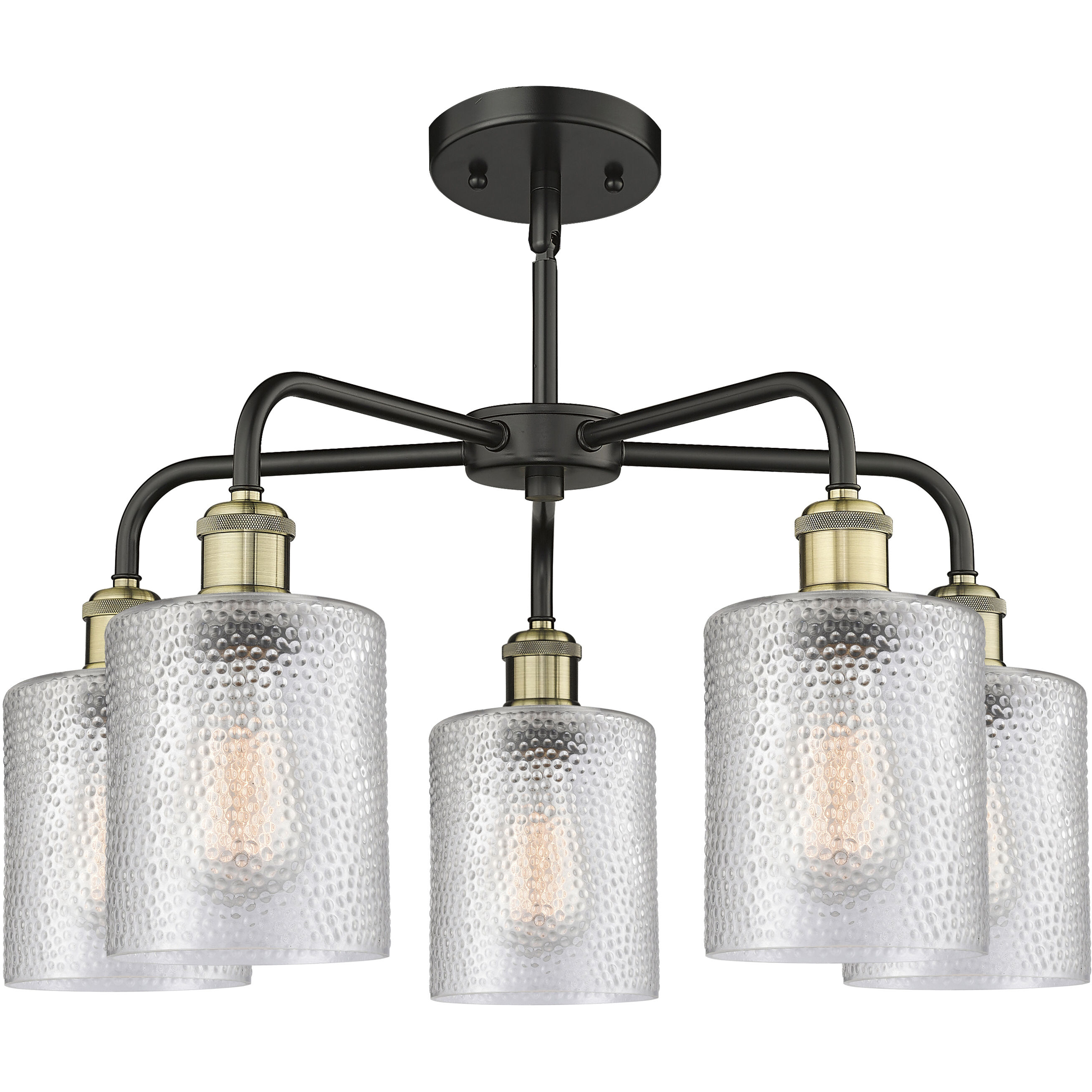 Cobbleskill 5 Light 23 inch Black Antique Brass Chandelier Ceiling Light in Clear