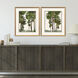 Tree Canopy Green and Beige and Brown and Neutral Framed Art