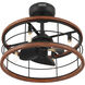 Bridgette Fandelier 22 inch Matte Black Ceiling Fan