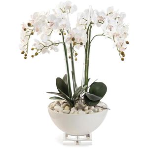 Orchids White Botanical, Fresh Water Look