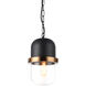 Tillie 1 Light 7.13 inch Pendant