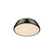 Duncan 2 Light 14 inch Aged Brass Flush Mount Ceiling Light in Black, Damp