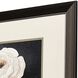 Botanical on Black Black and Brown and White Framed Art