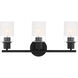 Cedar Lane 3 Light 22 inch Matte Black Vanity Light Wall Light