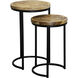 Winter Natural Brown and Black Side Table