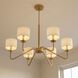 Transitional 6 Light 42 inch Natural Brass Chandelier Ceiling Light