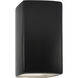 Ambiance Rectangle LED 7.25 inch Carbon Matte Black ADA Wall Sconce Wall Light, Large