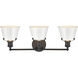 Holgate 3 Light 24 inch Enamel White with Charcoal Vanity Light Wall Light