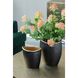 Anita 9.8 X 7.9 inch Flower Vase