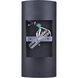 Owynn 2 Light 13.13 inch Black Outdoor Wall Lantern