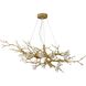 CC Series 16 Light 23.62 inch Brass Chandelier Ceiling Light