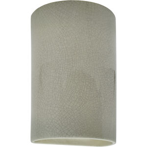 Ambiance 1 Light 6 inch Celadon Green Crackle Wall Sconce Wall Light, Small