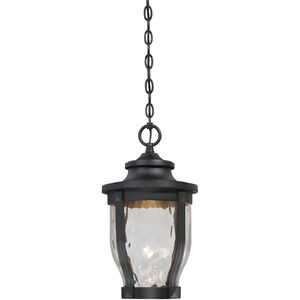 Merrimack 1 Light 10.00 inch Outdoor Pendant/Chandelier