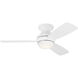 Ikon 44.00 inch Indoor Ceiling Fan