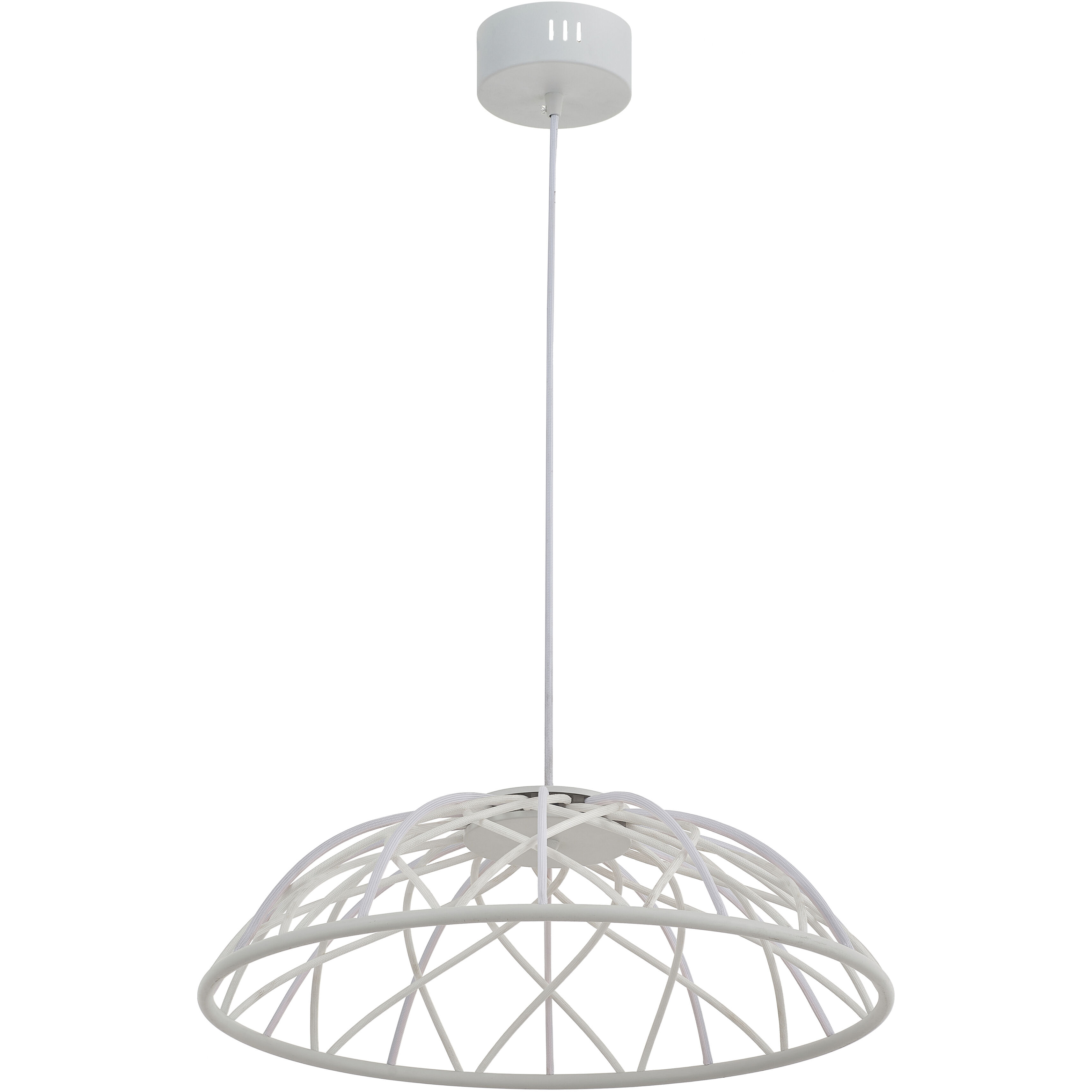 Pakuna LED 20 inch Matte White Pendant Ceiling Light