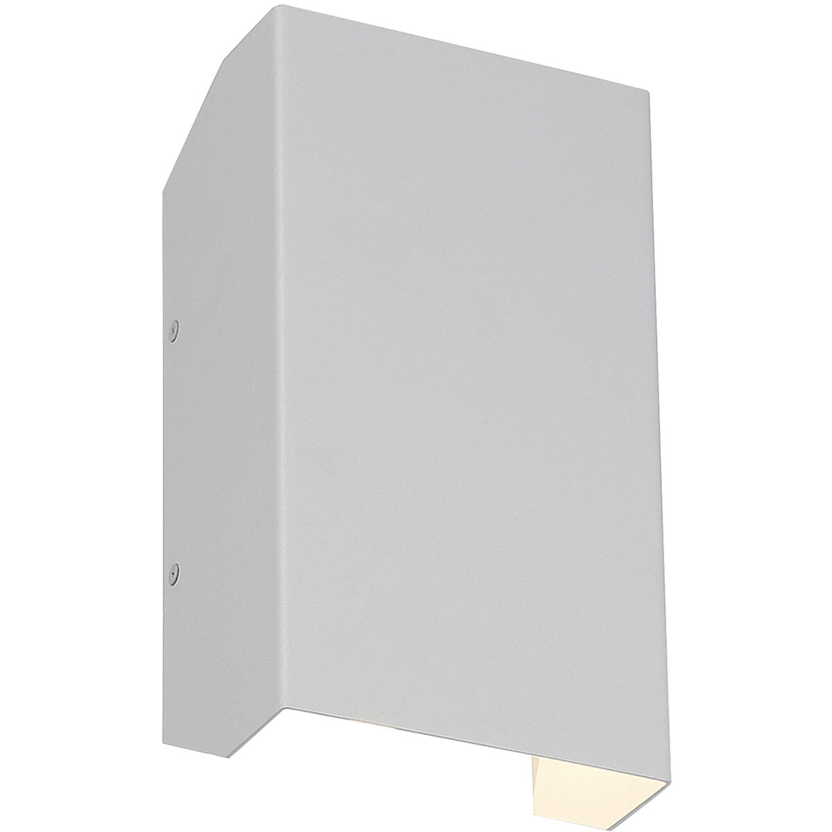 Amora LED 10 inch Satin Outdoor Wall Sconce