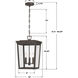 Belmont 3 Light 12 inch Twilight Bronze Outdoor Pendant
