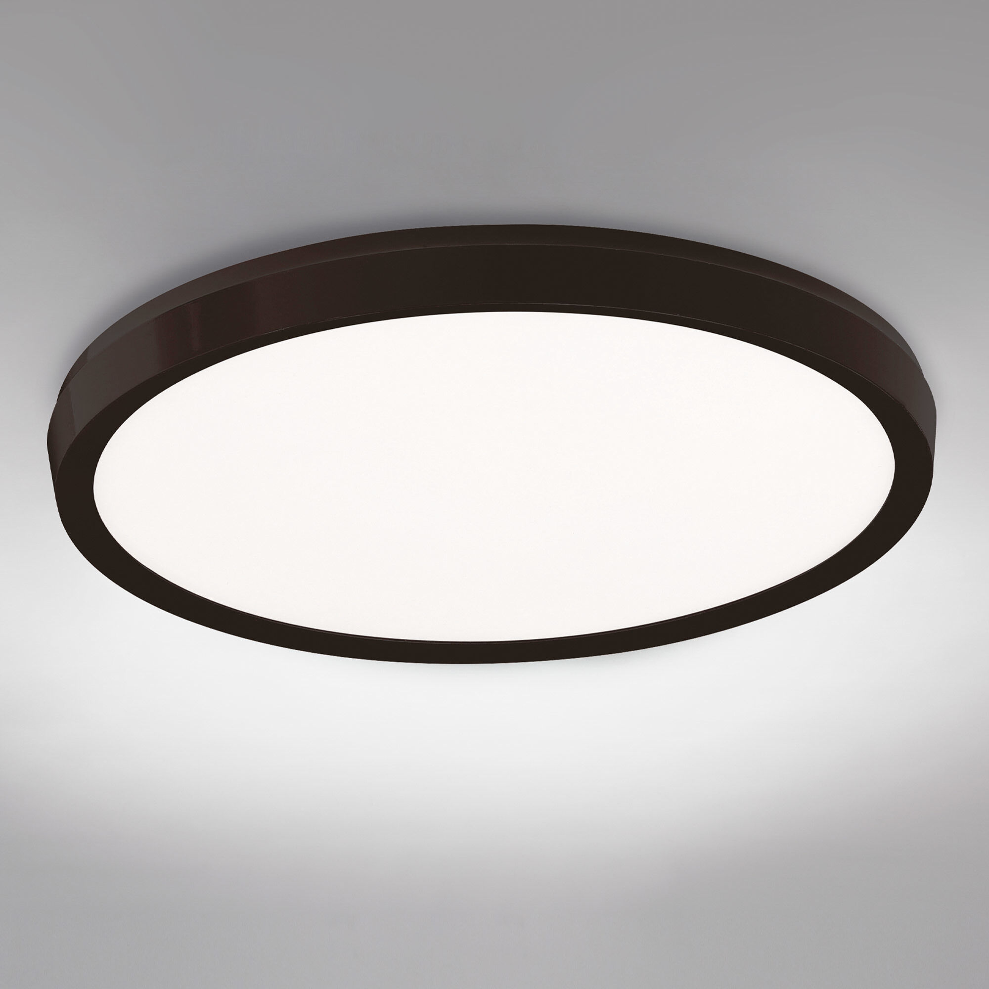 Argo LED 19 inch Black Flush Mount Ceiling Light
