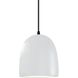 Radiance Collection 1 Light 9 inch Matte Black and Gloss White and Black Pendant Ceiling Light