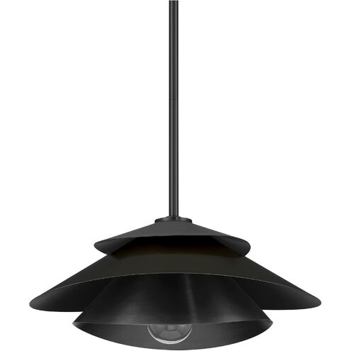 Hiro 1 Light 12.75 inch Matte Black Pendant Ceiling Light, Large