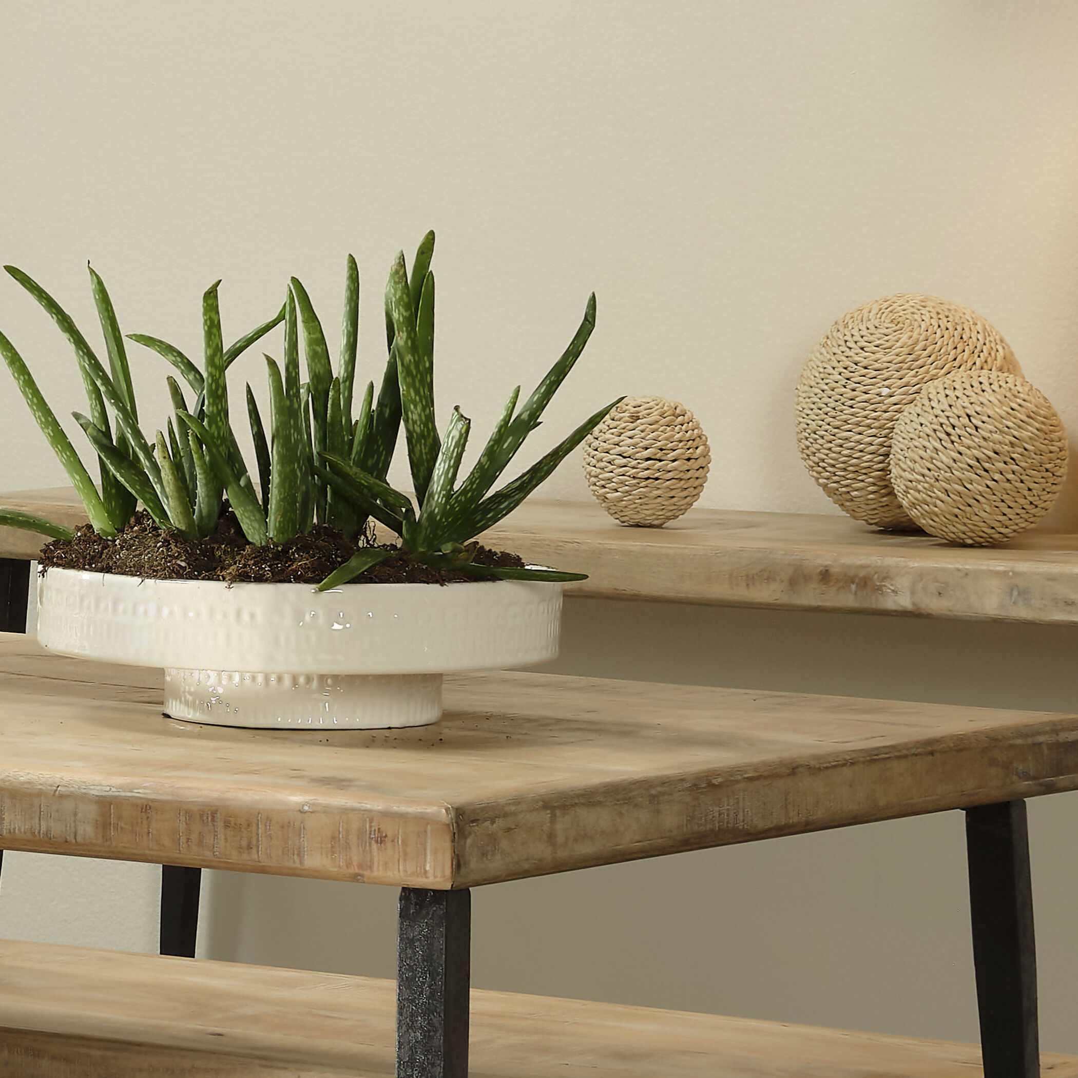 Coco 13 X 13 inch White Ceramic Pedestal