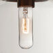 Olin 1 Light Satin Nickel Pendant Ceiling Light in Clear Glass