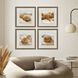 Beachy Shells Brown and Beige and Blue and Neutral Framed Art