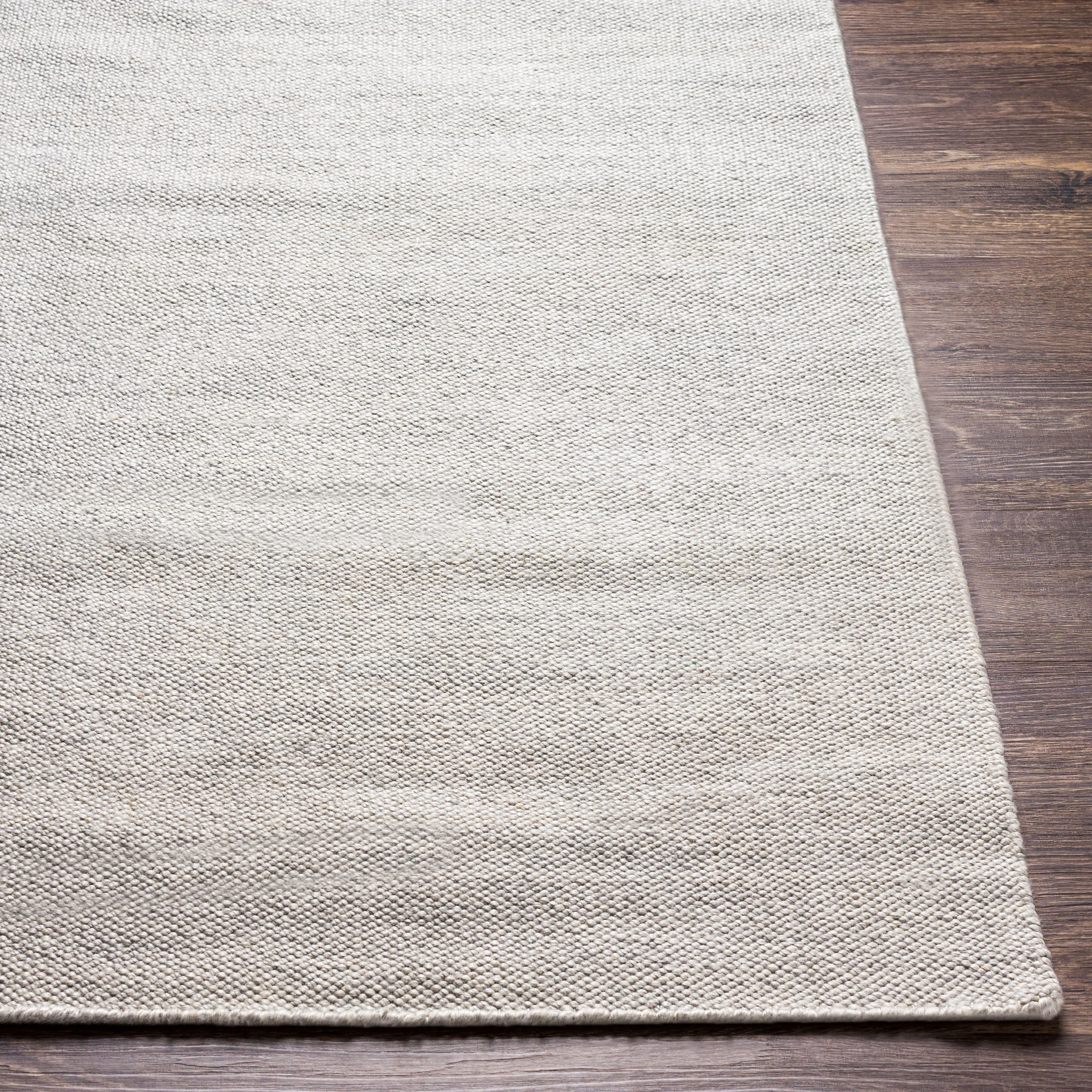 Acacia 36 X 24 inch Light Gray Rug in 2 x 3, Rectangle