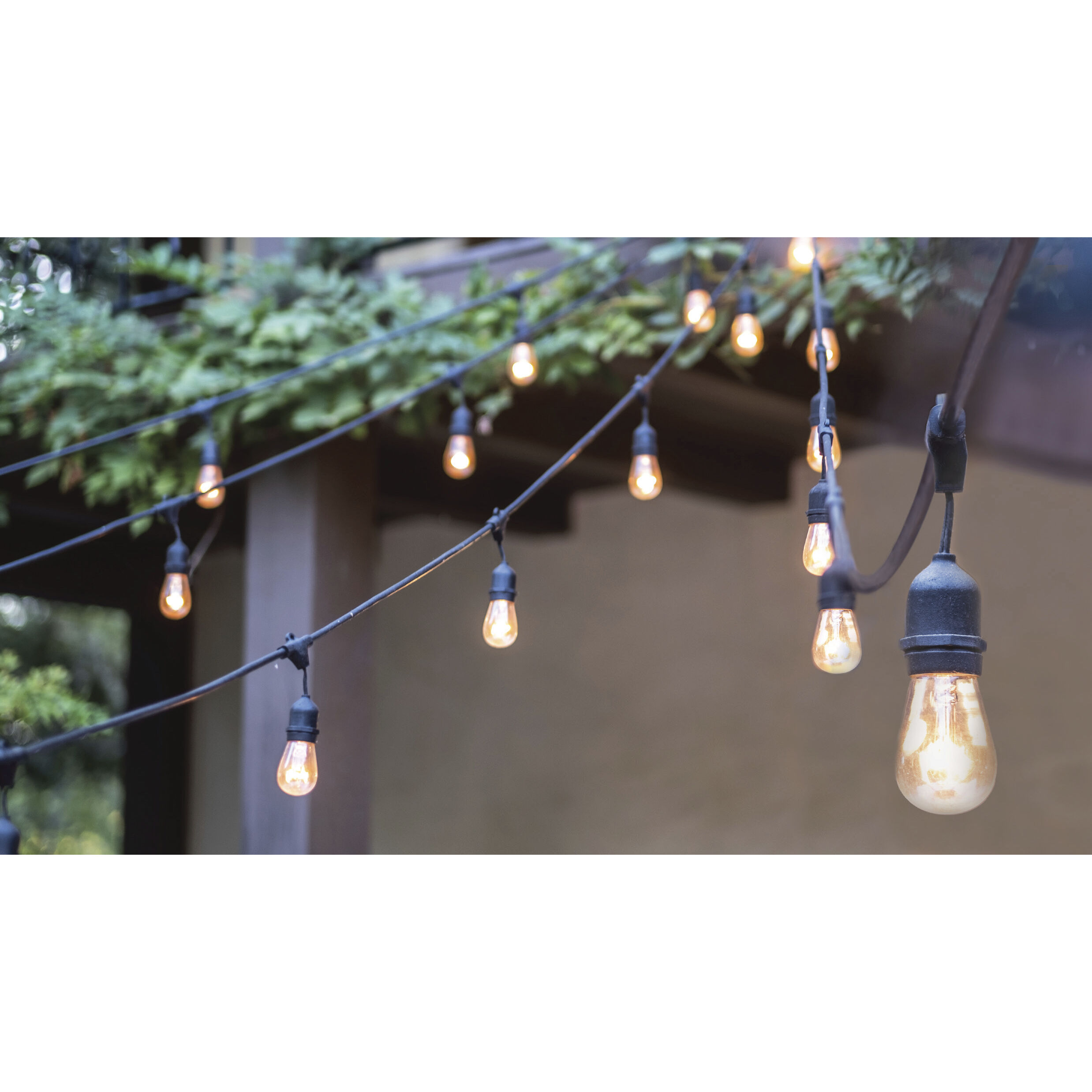 Satco S8020 Edgewood 12 Light LED 24 foot Black LED String Light