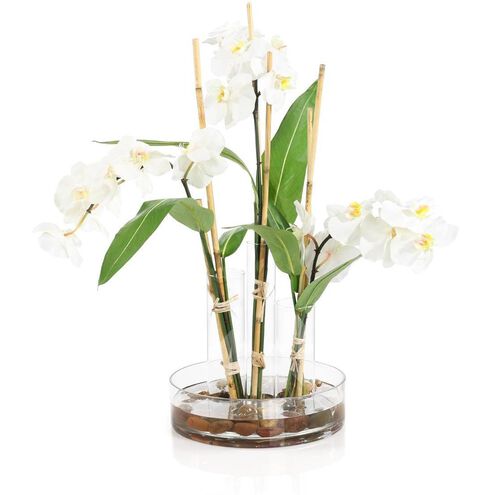 Changing Florals Botanical/Floral